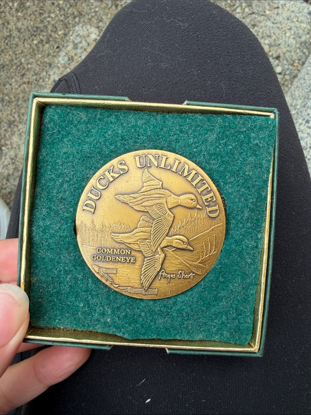 Ducks Unlimited Commemorative Coin - Brass Tone